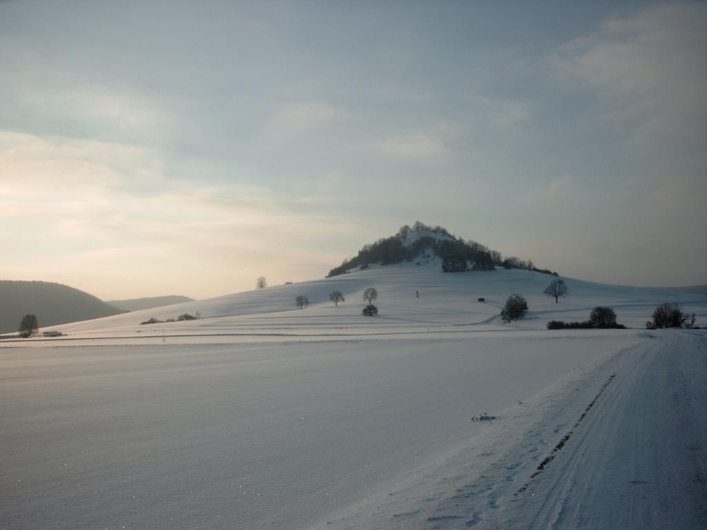 Hotel Hofgut Hohenkarpfen ハウゼン・オプ・ヴェレーナ エクステリア 写真