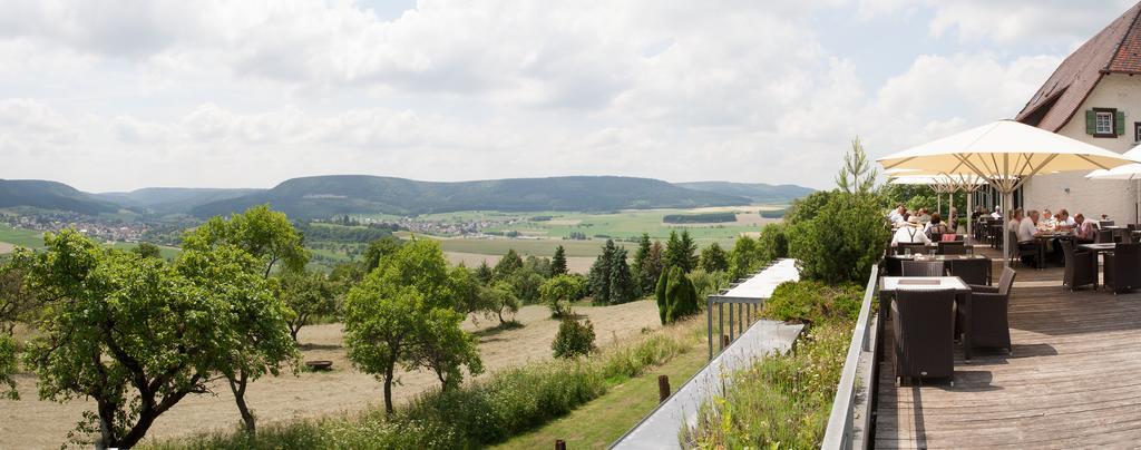 Hotel Hofgut Hohenkarpfen ハウゼン・オプ・ヴェレーナ エクステリア 写真