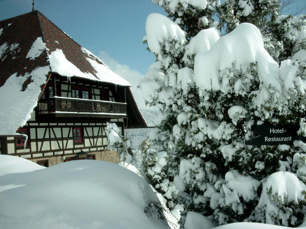 Hotel Hofgut Hohenkarpfen ハウゼン・オプ・ヴェレーナ エクステリア 写真